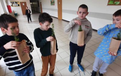 Uczestnictwo w szóstej edycji akcji #sadziMY – wielkiego narodowego sadzenia drzew